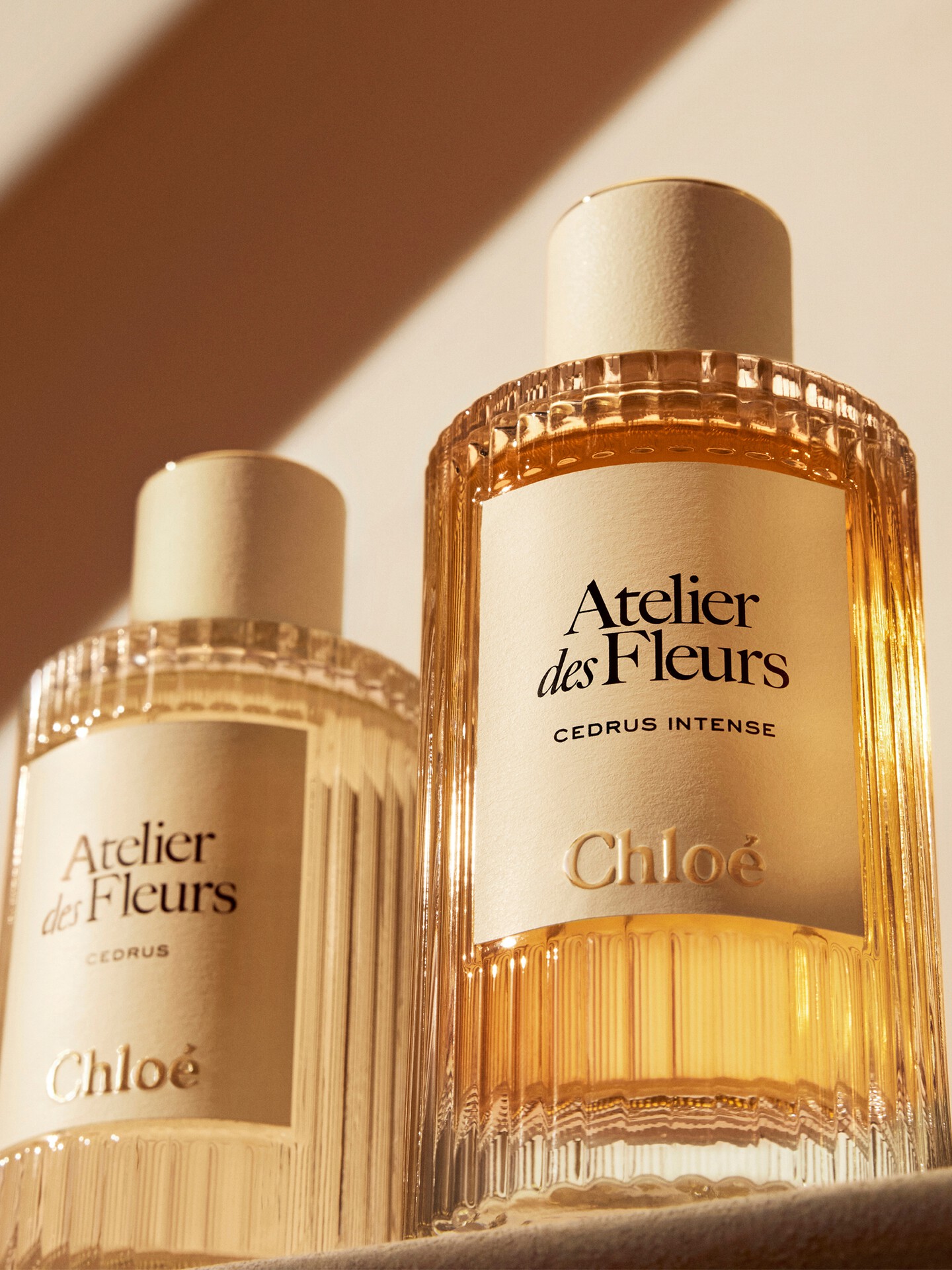 Atelier des Fleurs Cedrus Intense Eau de Parfum - 3
