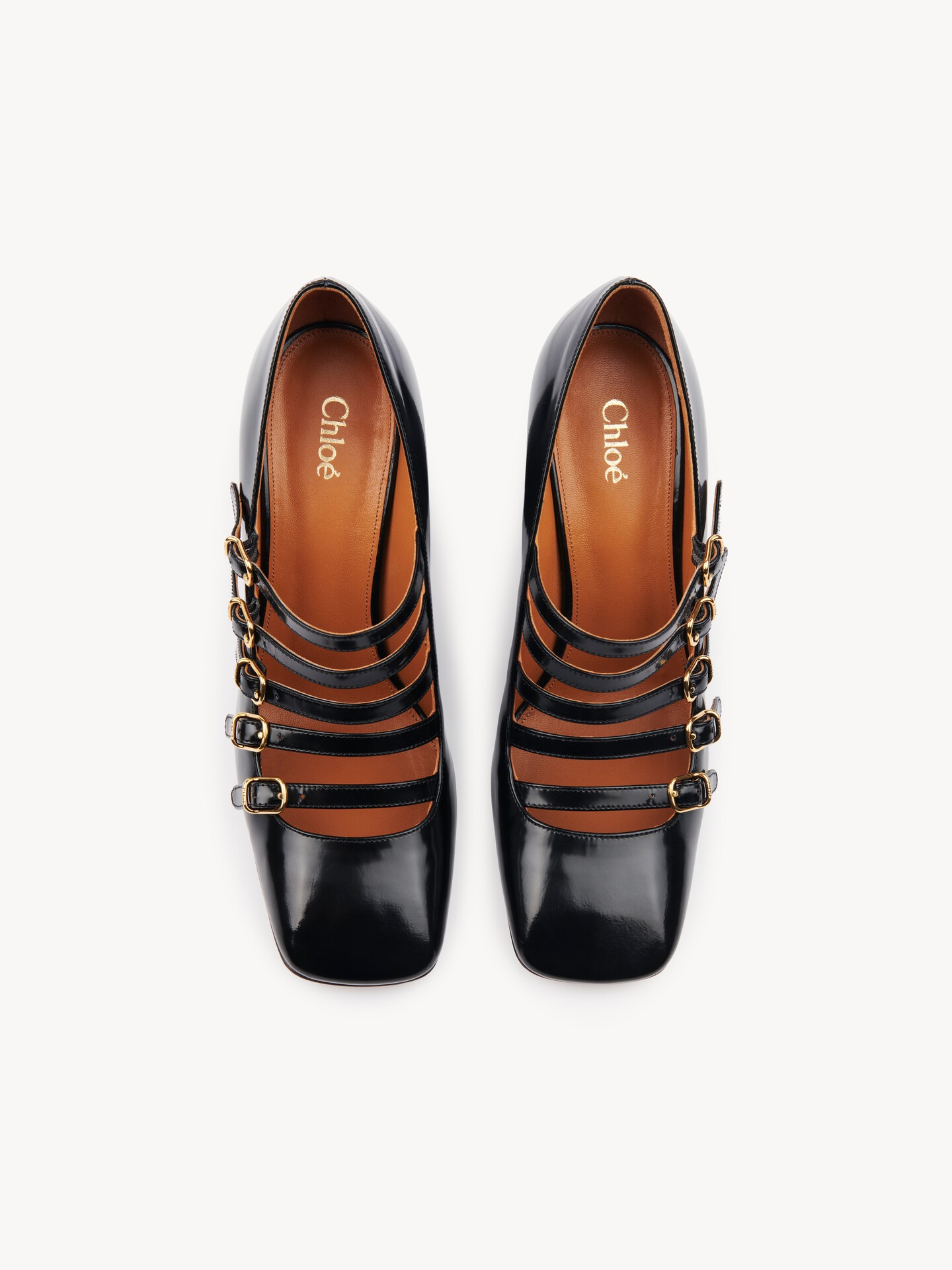 Janis pump - 6