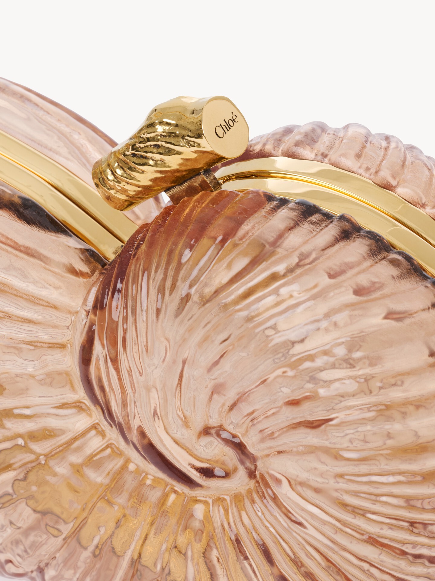 Sea Treasures shell minaudi&egrave;re in plexiglass - 6