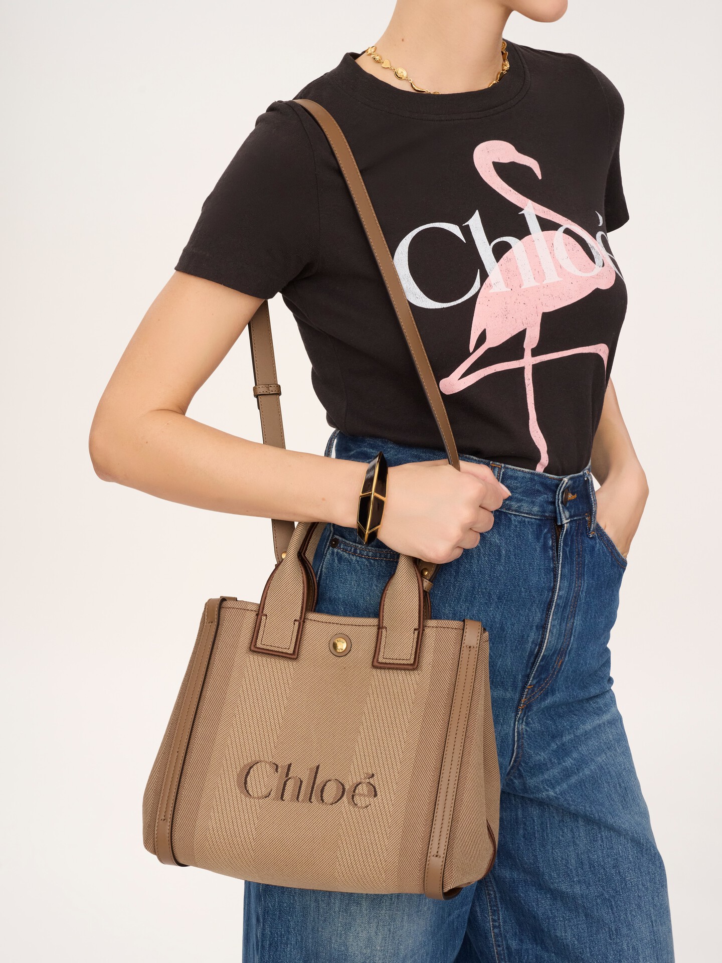 Small Chlo&eacute; Carry tote bag in canvas - 3