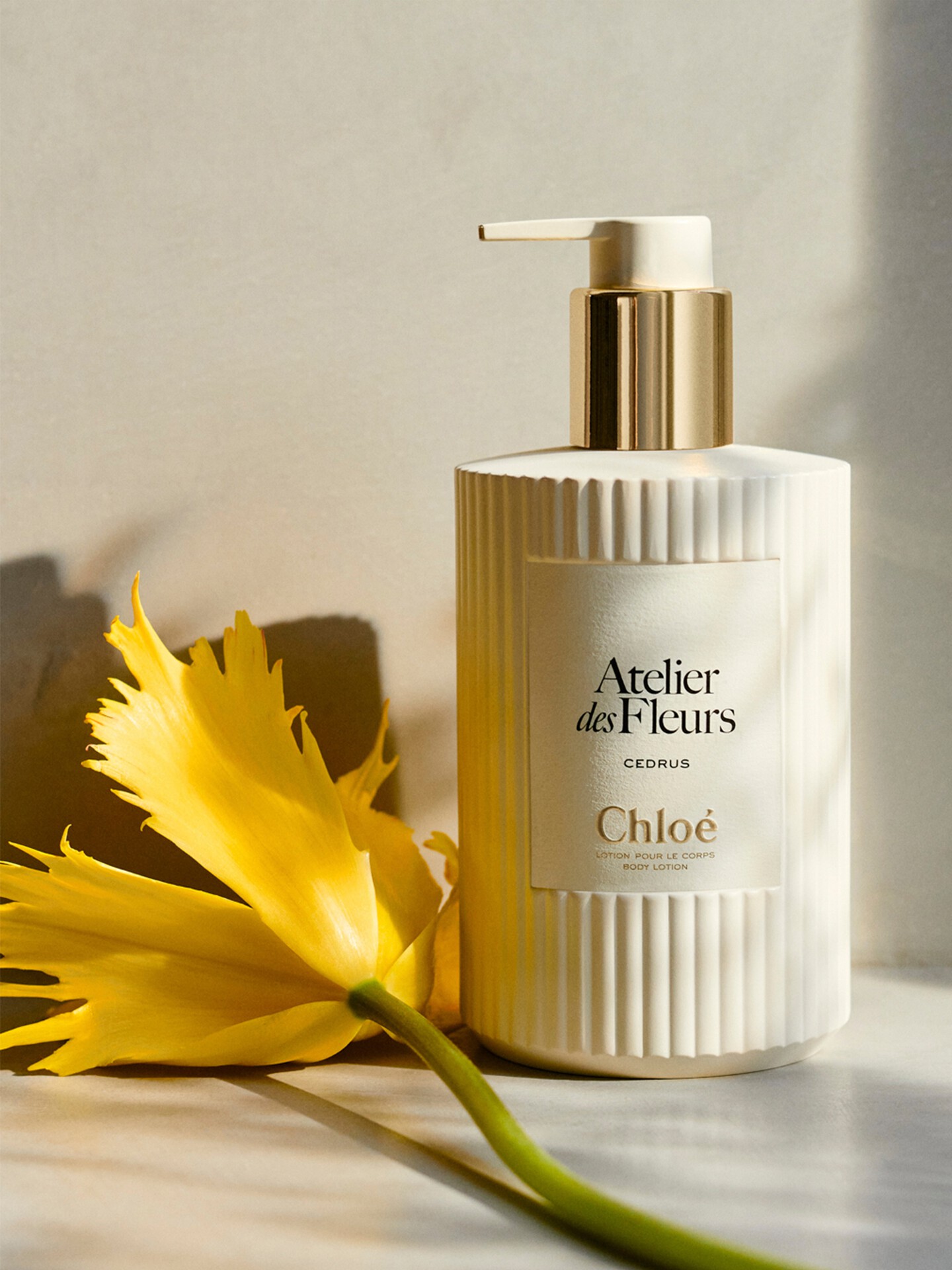 Atelier des Fleurs Cedrus Perfumed Body Lotion - 7