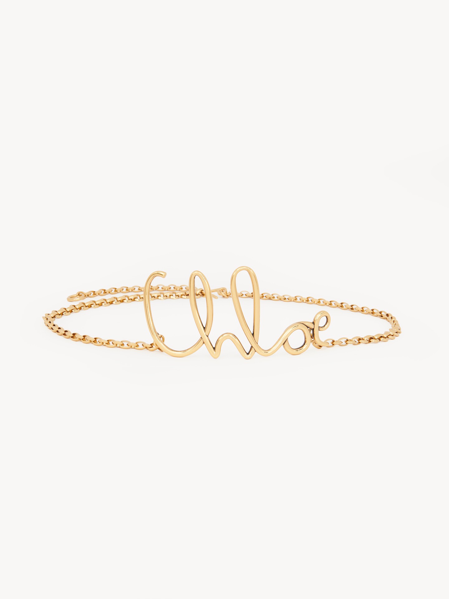 The Chloé Iconic small belt - 1
