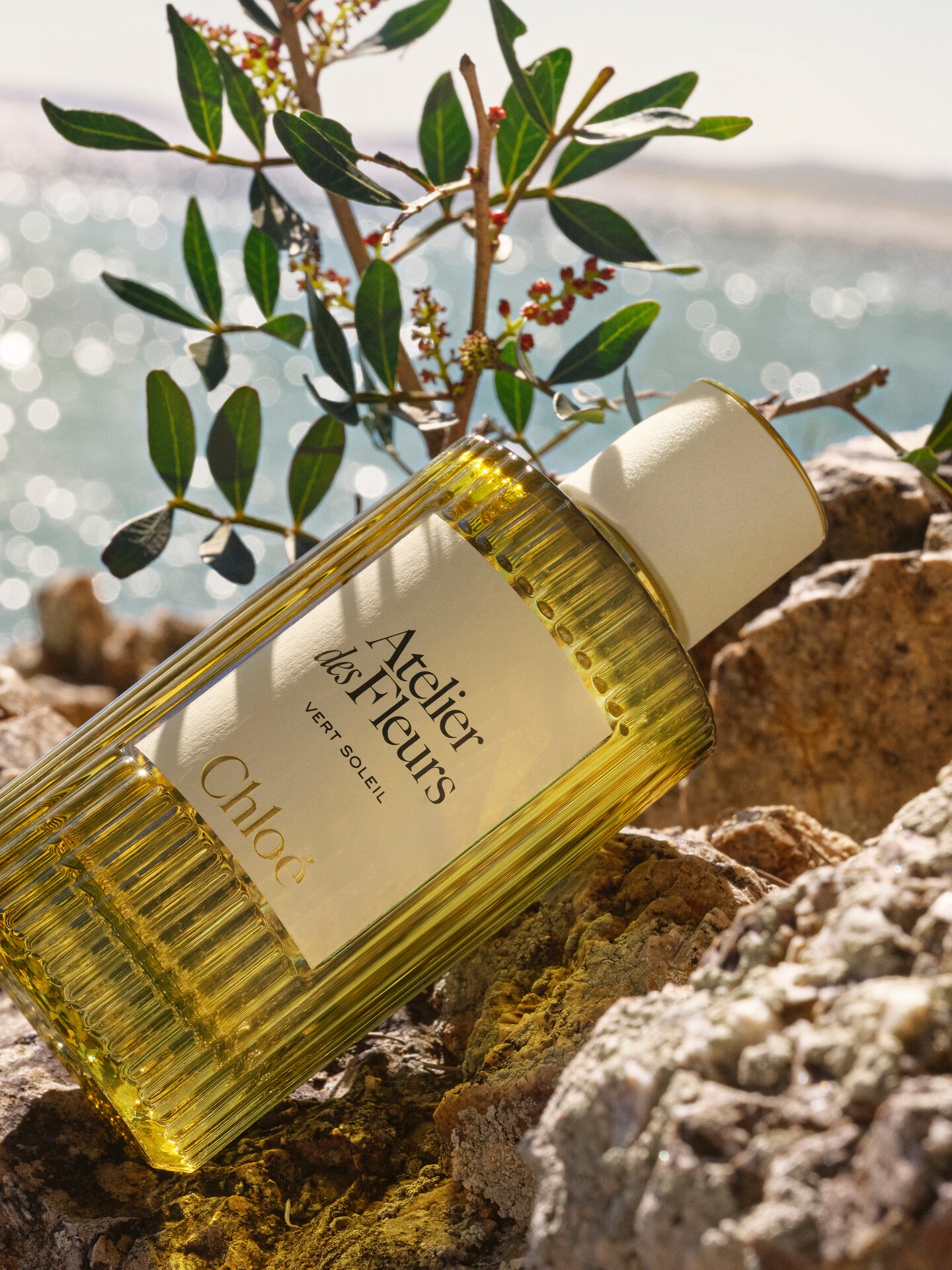 Atelier des Fleurs Vert Soleil Eau de Parfum 50 ml - 4