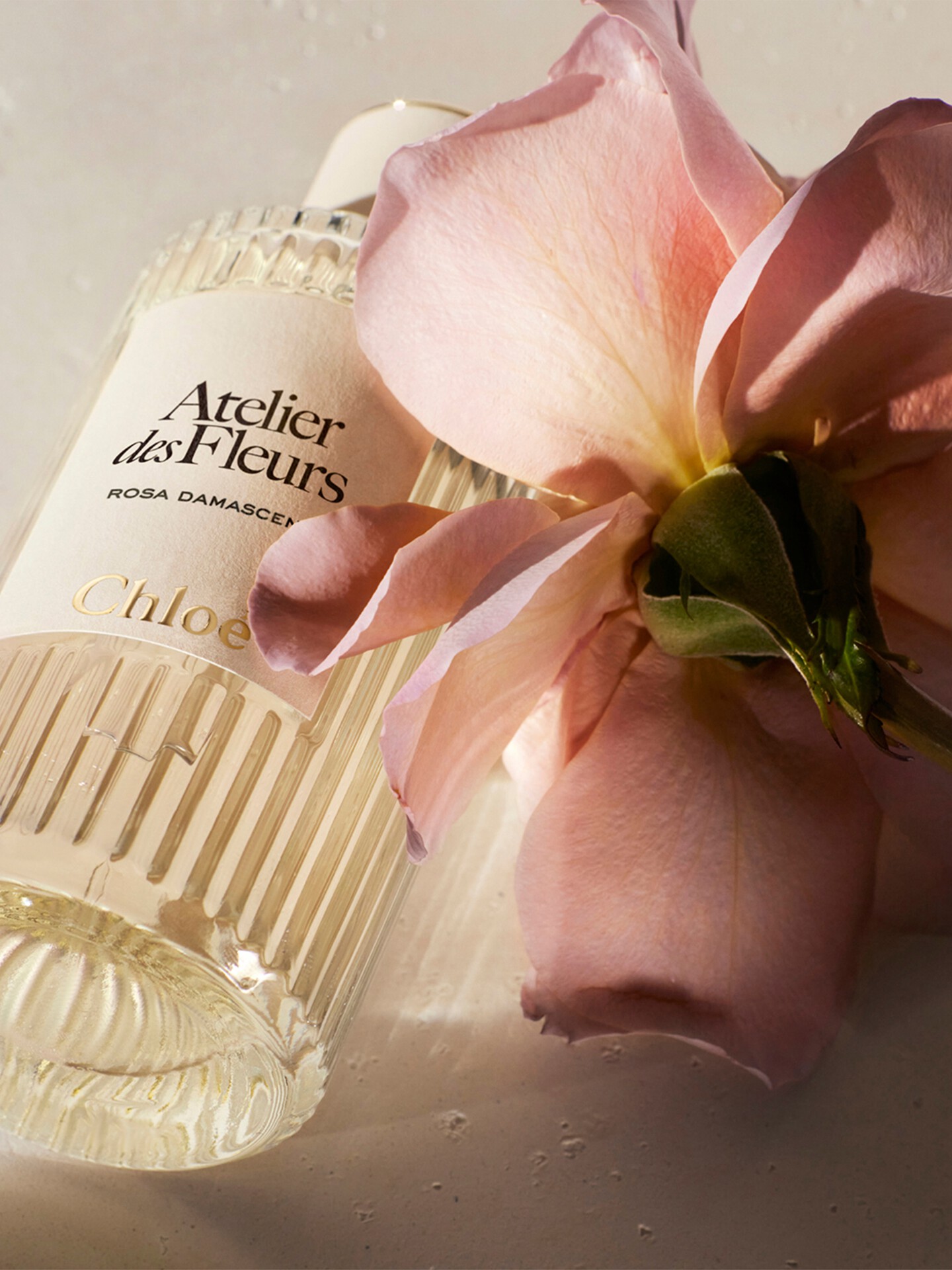 Atelier des Fleurs Rosa Damascena Eau de Parfum 150 ml - 5