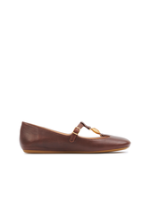 CHOCOLATE_BROWN