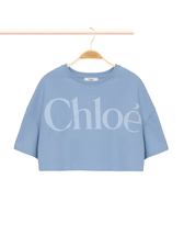 BLUE_GRAY