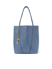 ASHES_BLUE