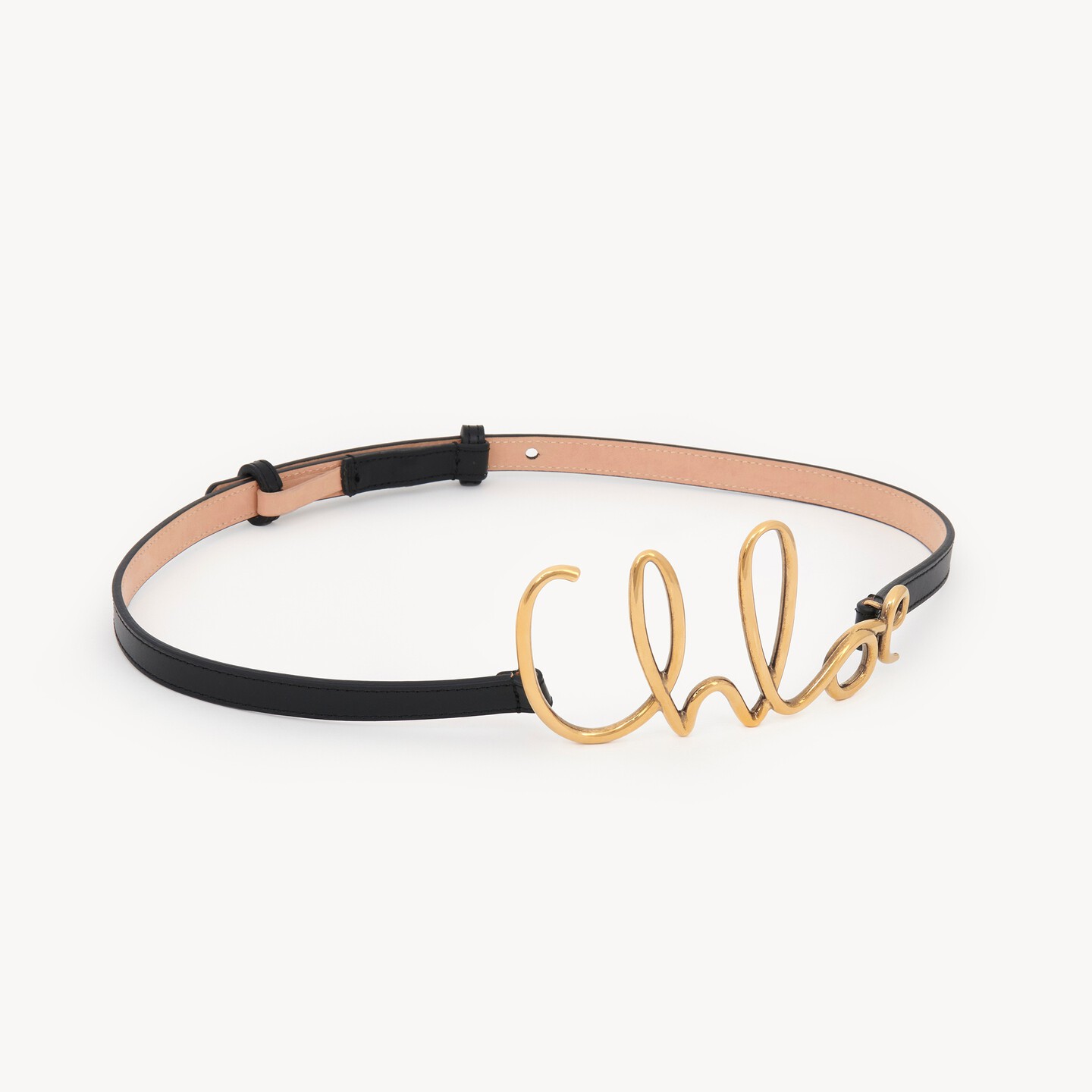 The Chloé Iconic small belt - 6