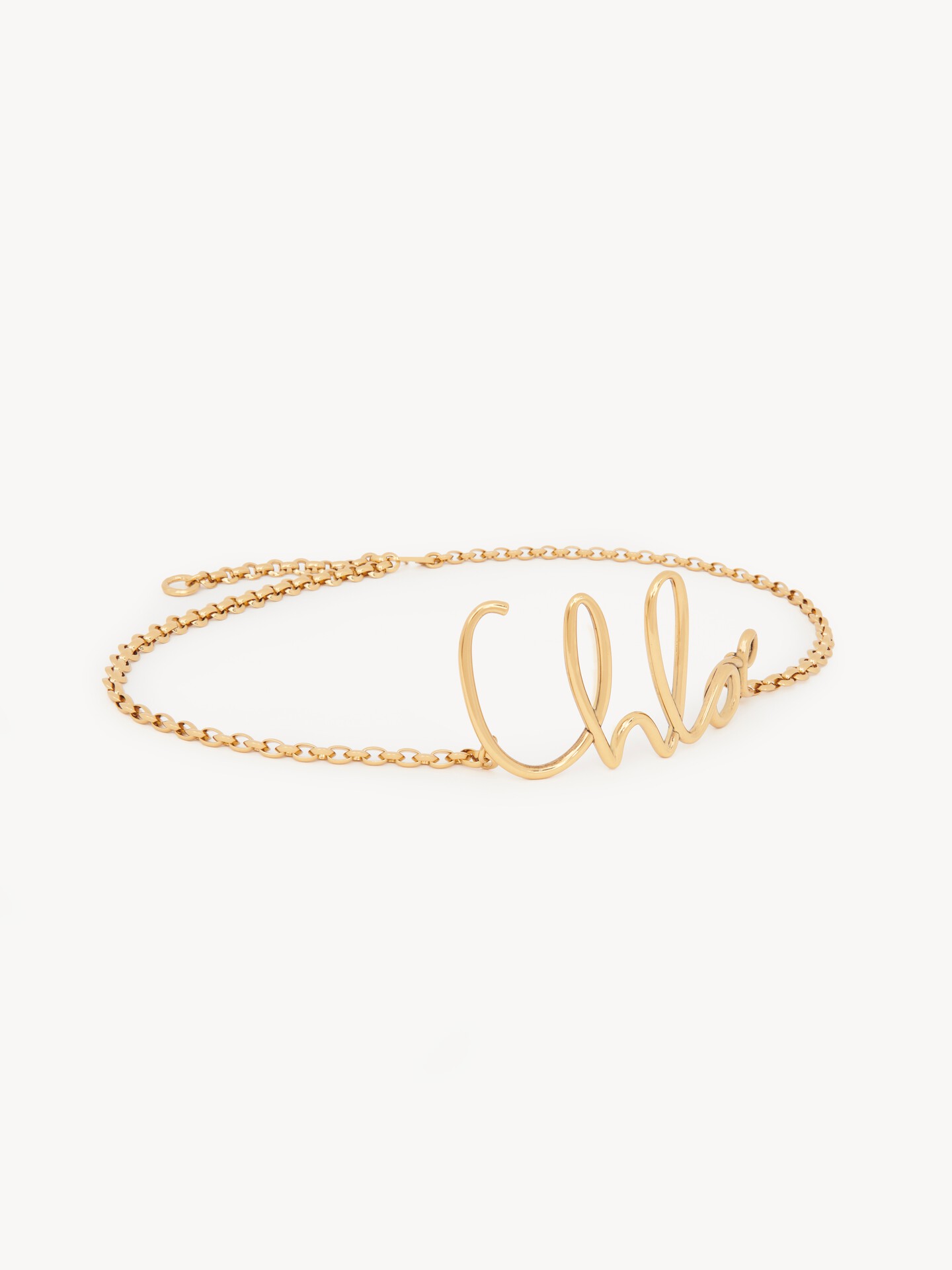 The Chloé Iconic small belt - 5