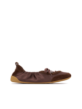 SHARP_BROWN