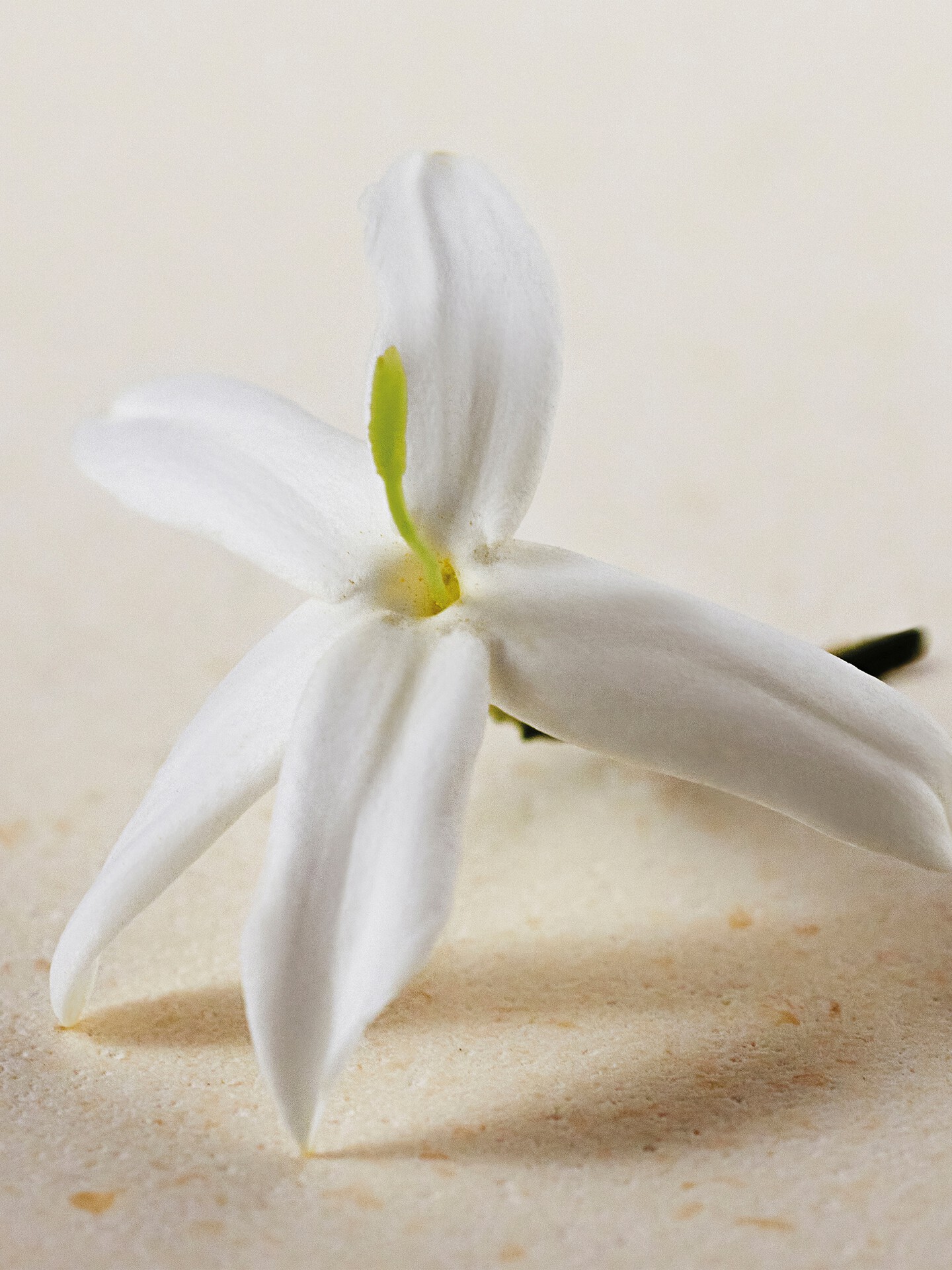 Atelier des Fleurs &ndash; Discovery gift set 3 pensprays - 3