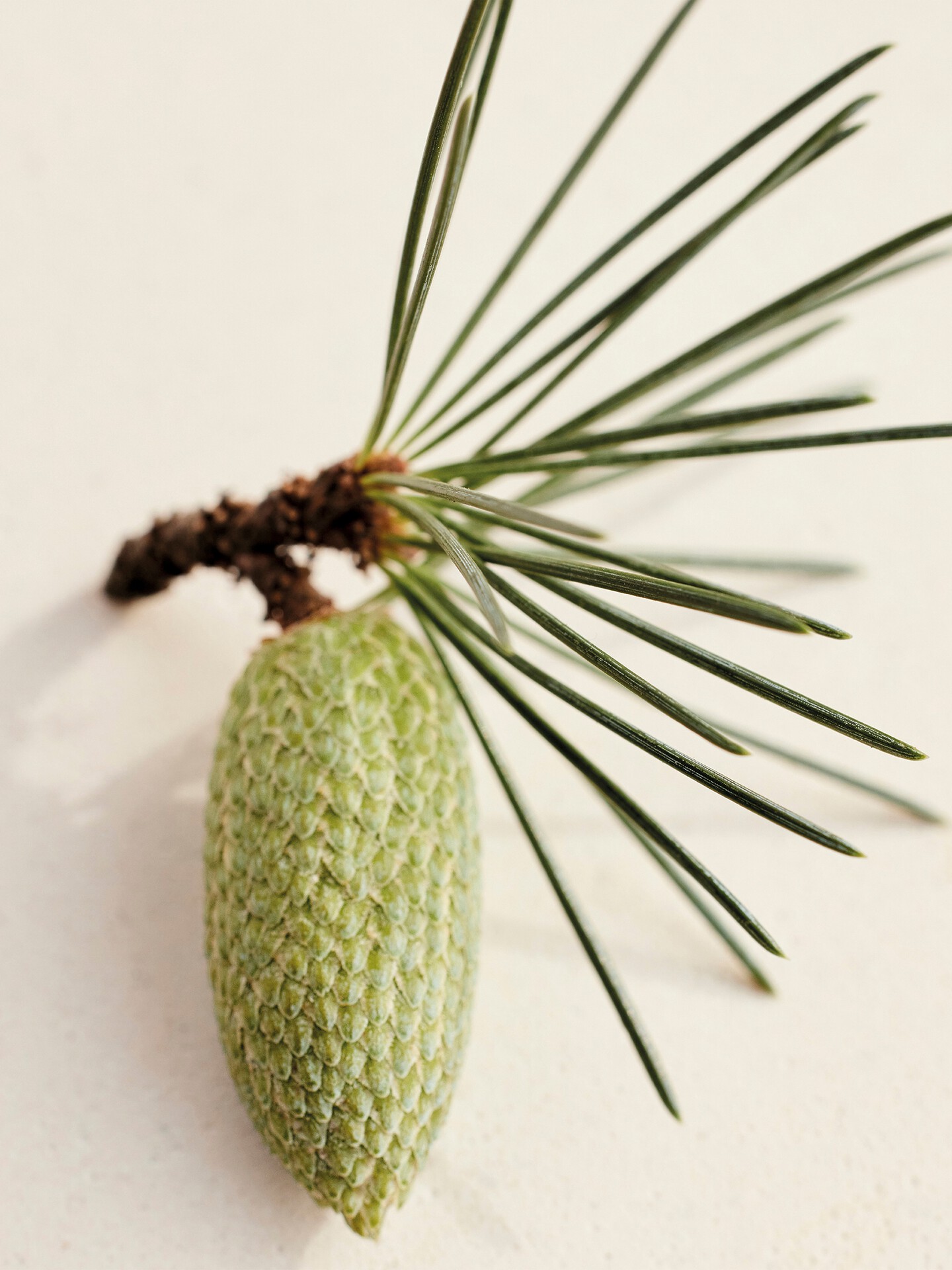 Atelier des Fleurs &ndash; Discovery gift set 3 pensprays - 5