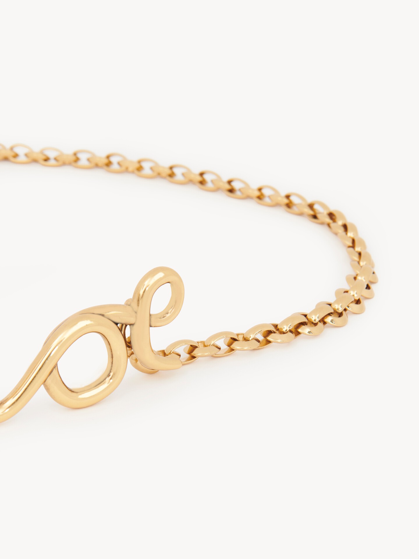 The Chloé Iconic small belt - 4