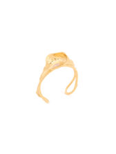 GOLD_AND_PINK