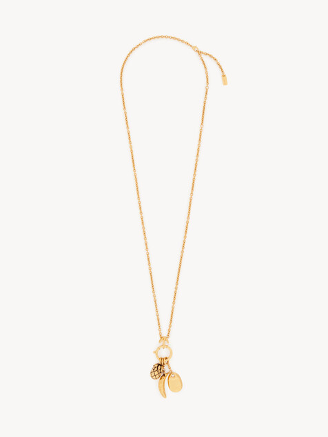 The Chlo&eacute; Charms necklace