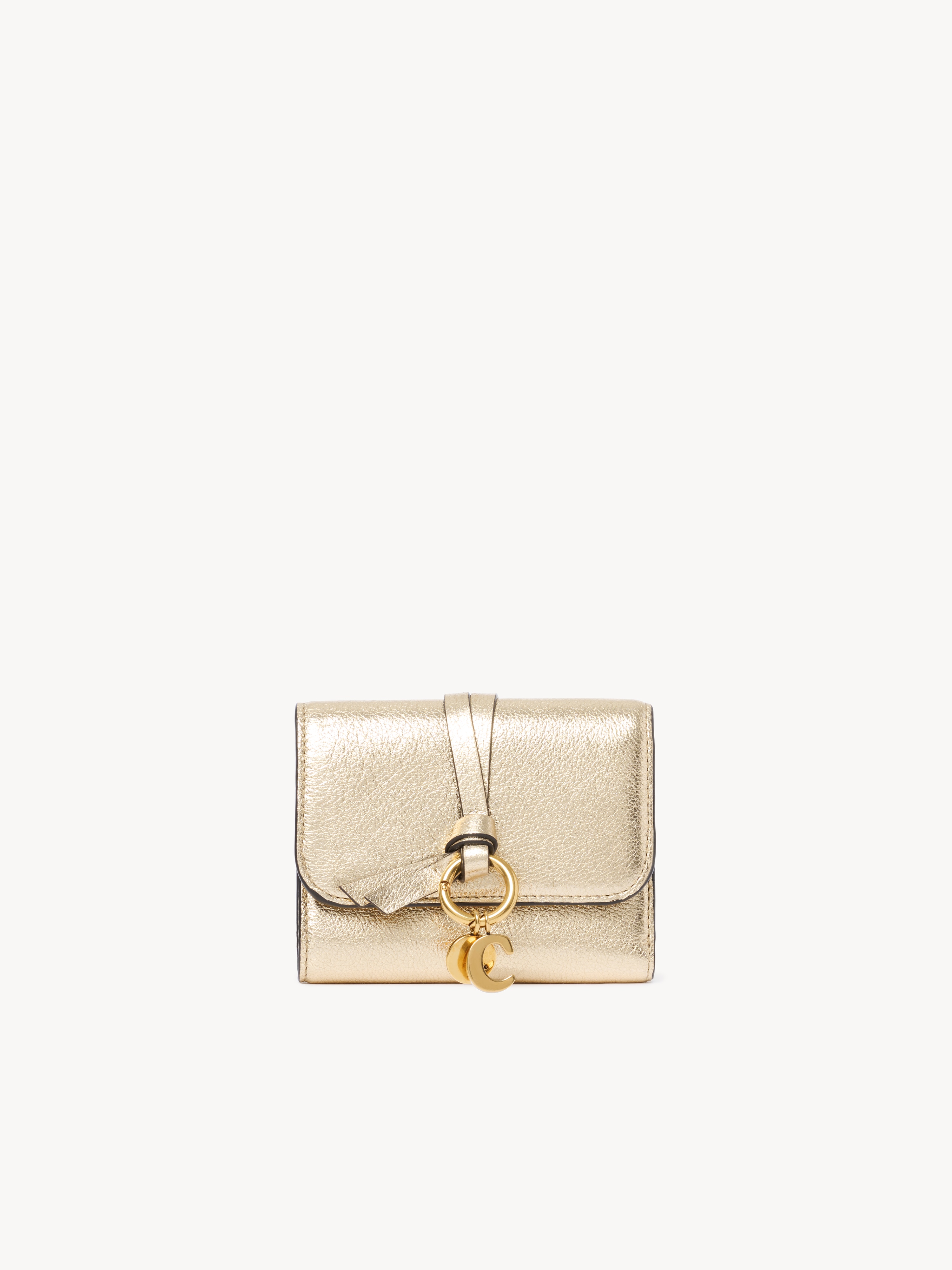 Alphabet wallet in metallic leather - NaN